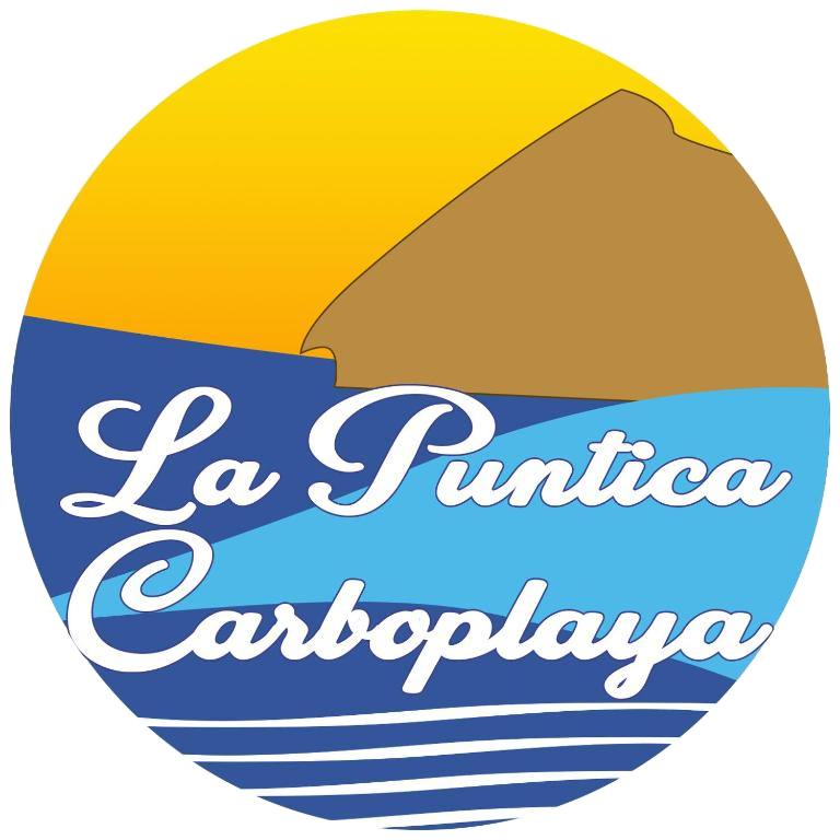 Logo la puntica